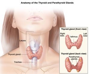 thyroid cancer