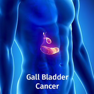 Gall-Bladder