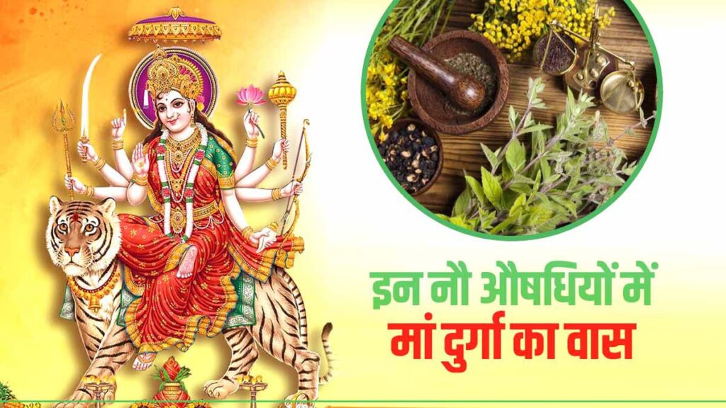 9 औषधियों के पेड़ पौधे जिन्हें नवदुर्गा कहा गया है Durga Maa 1024x576